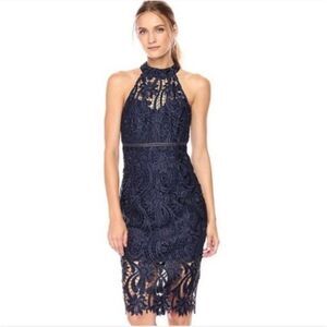 Bardot Isa Blue Lace Halter Neck Sleeveless Fitted Cocktai Sheath Midi Dress 4US